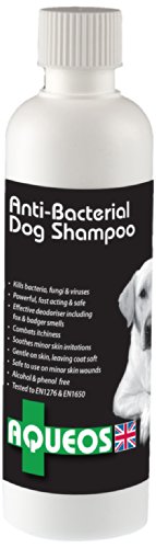 Aqueos Antibacteriano/Anti-Itch Perro champú