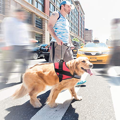 Arnés para Perros Transpirable sin tracción Ajustable, Ayuda para el Entrenamiento de la Marcha, fácil Control Exterior para Perros pequeños y medianos, arnés Rojo para Perros