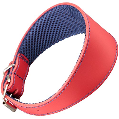 Arppe 195376045103 Collar Galgo Cuero Forro 3D Amazone, Rojo y Azul Marino