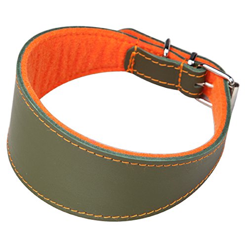 Arppe 2155013592 Collar Galgo o Cuero Superfelt, Naranja y Verde