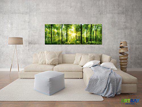 ARTBAY Póster de bosque XXL, Imágen panorámica - 118,8 x 42 cm, un bosque inundado de sol, bosque mágico, bosque típico | Póster de naturaleza | Calidad superior