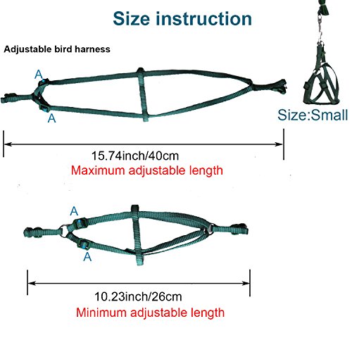 ASOCEA Pluma Ajustable Correa pájaro arnés y Correa para pequeños Loros Razas Medianas