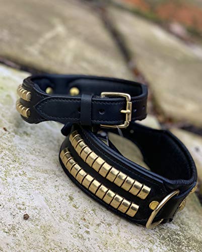 Astile Equine And Pet Supplies Collar de Piel con Tachuelas para Perro, Color Negro, Fuerte para el Personal Rottweiler Pit Bull Bulldog Terrier y Otros Perros Fuertes