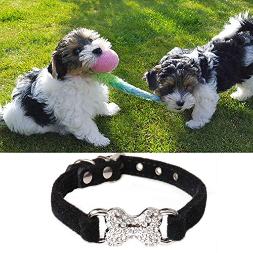 Augproveshak Collar Decorativo para Perro, Material de Poliuretano, Collar de Gato pequeño y Mediano para Decorar a su Mascota