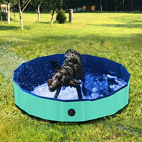 AYITOO Bañera para Perros, PVC Antideslizante y Resistente al Desgaste Piscina para Mascotas Perros, Bañera Plegable de Mascotas para Mascotas, Natación Piscina para Perros 120 cm x 30 cm