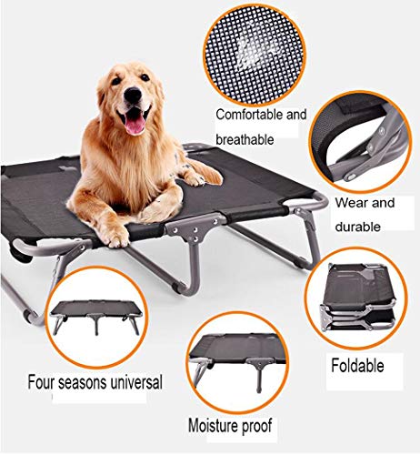 AZLLY Cama Portable elevada de Mascotas Plegable Cama para Mascotas Cuna Raised Marco de Cama de Metal Perro criar Zona de Relax para Perros y Gatos,M