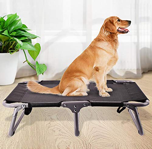 AZLLY Cama Portable elevada de Mascotas Plegable Cama para Mascotas Cuna Raised Marco de Cama de Metal Perro criar Zona de Relax para Perros y Gatos,M