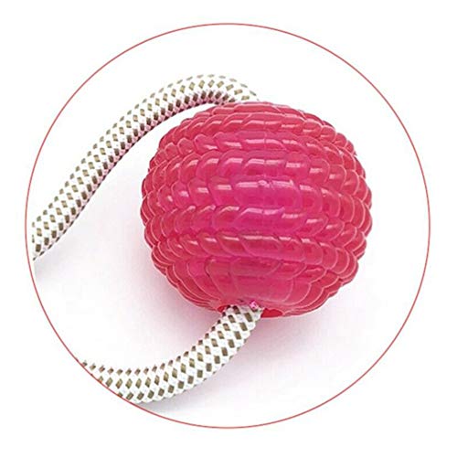 Balacoo - Pelota de Perro masticable con Ventosa para casa o salón