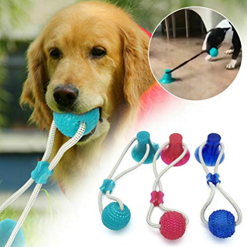 Balacoo - Pelota de Perro masticable con Ventosa para casa o salón