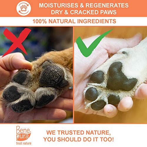 Bálsamo para Mascotas 100% Natural Regenerador - para Patas, Nariz y Piel - para Perros y Gatos 40ml