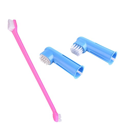 Baoblaze 3pcs / Sistema de Cepillo de Dientes para Perros Gato Animal Doméstico Higiene Oral