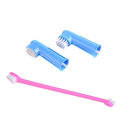 Baoblaze 3pcs / Sistema de Cepillo de Dientes para Perros Gato Animal Doméstico Higiene Oral