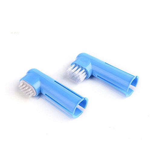 Baoblaze 3pcs / Sistema de Cepillo de Dientes para Perros Gato Animal Doméstico Higiene Oral