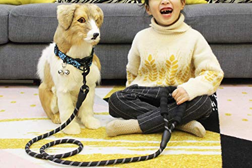 Baomasir Hundeleine Fuerte Correa cómodo Agarre Acolchado, Costuras Reflectantes de la Cuerda de Entrenamiento para Seguridad Nocturna, Ideal para Todos los tamaños de Perros, Verde