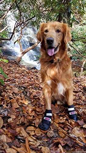 Bark Brite Todas Las Botas De Perro Protector De Neopreno Resistente A La Pata con Straps Reflectante (XL (4X3.75 Pulg.)) Viajan Estuche De Cremallera Incluido