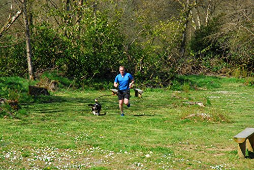 Barkswell Correa Manos Libres para Correr con Perros. Cinturón para pasear Perros