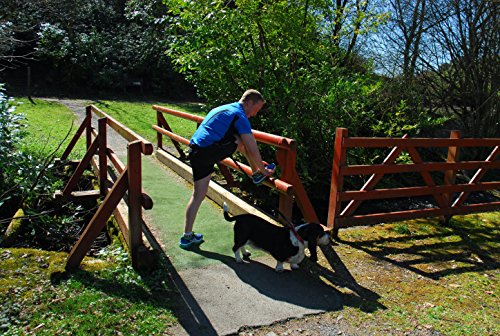 Barkswell Correa Manos Libres para Correr con Perros. Cinturón para pasear Perros