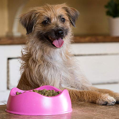 Beco Pets Bowl – Cuenco de bambú ecológico para Alimentos y Agua