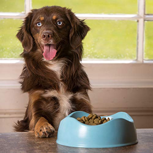 Beco Pets Bowl – Cuenco de bambú ecológico para Alimentos y Agua