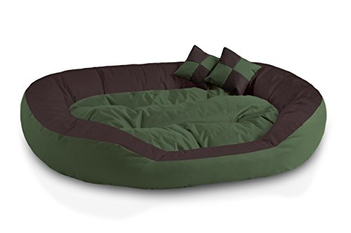 BedDog® 4en1 Saba Verde/Marron XXL Aprox. 110x80cm colchón para Perro, 7 Colores, Cama, sofá, Cesta para Perro