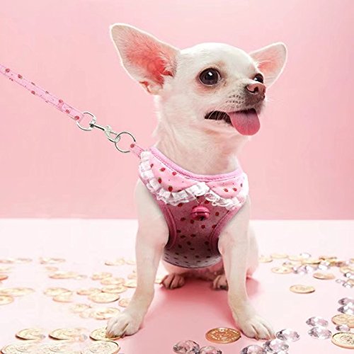 Berry - Arnés de malla suave para mascotas, ajustable con correa, estampado de fresas, para perros y gatos pequeños-medianos, diseño de camuflaje/gris/rosa, talla S, M, L, XL