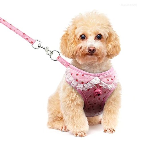 Berry - Arnés de malla suave para mascotas, ajustable con correa, estampado de fresas, para perros y gatos pequeños-medianos, diseño de camuflaje/gris/rosa, talla S, M, L, XL