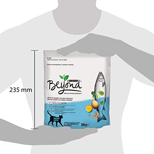 Beyond PURINA Croquetas Gato Rico en salmón con Cebo Integral, 8 Sacos de 350 g Cada uno