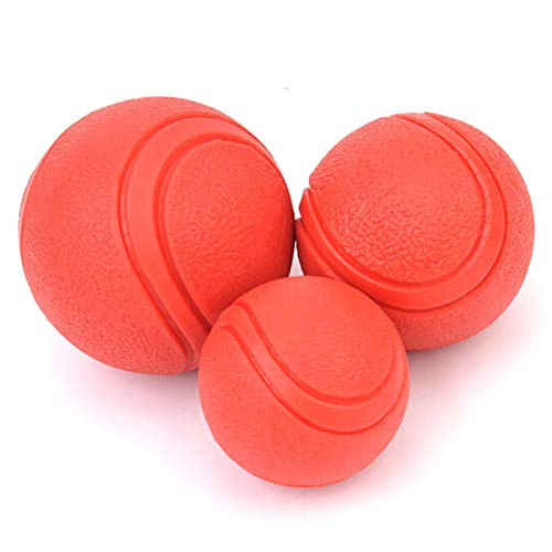 BIKITIQUE - Pelotas de Goma Maciza Bouncy Bola Resistente a los ácaros, Indestructible, Juguete para Mascotas