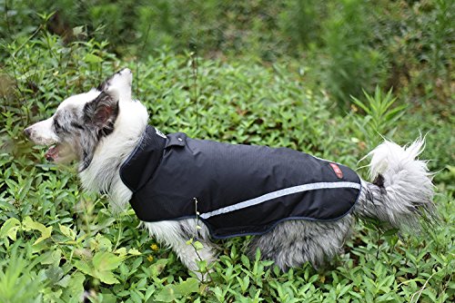 BLACKDOGGY - Chaleco impermeable reflectante para perro, color negro