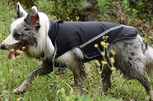 BLACKDOGGY - Chaleco impermeable reflectante para perro, color negro