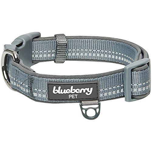 Blueberry Pet - Correa Reflectante para Perro de 3 m en Colores Pastel con Mango Acolchado de Neopreno, Collar y arnés a Juego Disponibles por Separado