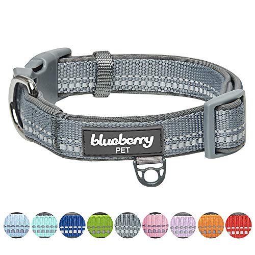 Blueberry Pet - Correa Reflectante para Perro de 3 m en Colores Pastel con Mango Acolchado de Neopreno, Collar y arnés a Juego Disponibles por Separado