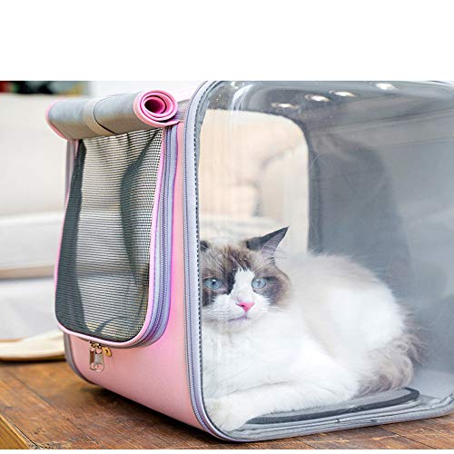 Bolso transparente plegable Bolso portátil para mascotas Mochila para perros y gatos Mochila para mascotas