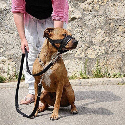 Bozal para Perro L, XL, XXL Ajustable Seguridad Bozal Durable Anti-mordedura Bozal para Rottweiler Chihuahua Collie Caniche Papillon