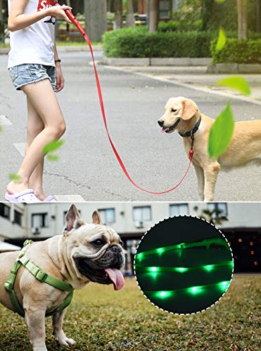 BPS Correas Luminosos para Perros Mascotas Canes con Parte de Guardar Bolsa Caca para Perro Mediano y Grande 2 Dimensión para Elegir (1.6 * 150 cm, Rojo) BPS-5559RJ