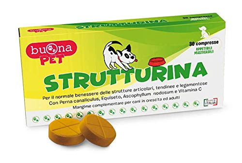 Buena Pet Strutturina Correcto Apoyo a articulaciones y tendones en Perros en Fase de Crecimiento y Adultos