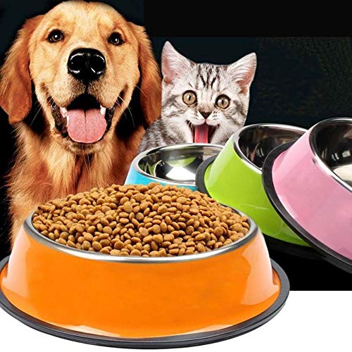 BVYO Comedero portátil de Acero Inoxidable para Cachorros Comedero para Mascotas Alimento Alimento Platos de Agua Cuencos para Mascotas Perros Gatos Práctico comedero, como Muestra la Foto