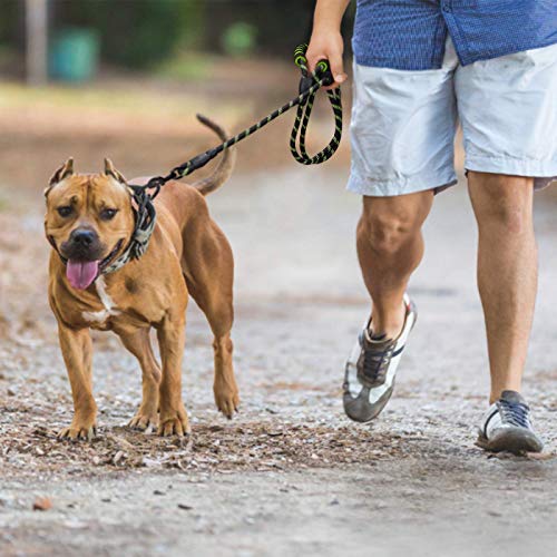 Bwiv Correa para Perros Correr 1.8M Resistente Nylón Fuerte con Mango Acolchado Doble Asa Cómodo Antideslizantes Reflectantes para Grandes Medianos (Talla única, Negro Verde)