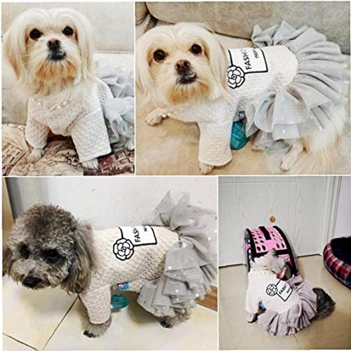 BYFRI Nuevos Vestidos de Princesa Perro pequeño Abrigo de otoño Gato Falda del Vestido del tutú La Ropa para Perros de Perrito de Peluche Chihuahua M (Color al Azar)