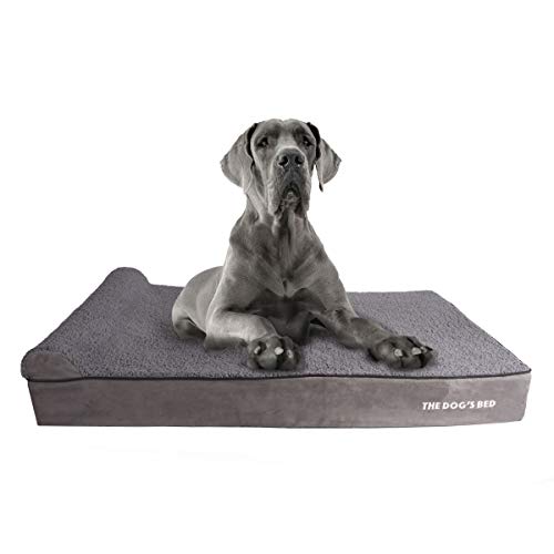 Cama ortopédica para Perro The Dog'S Bed Cama para Perro de Espuma viscoelástica Impermeable Premium