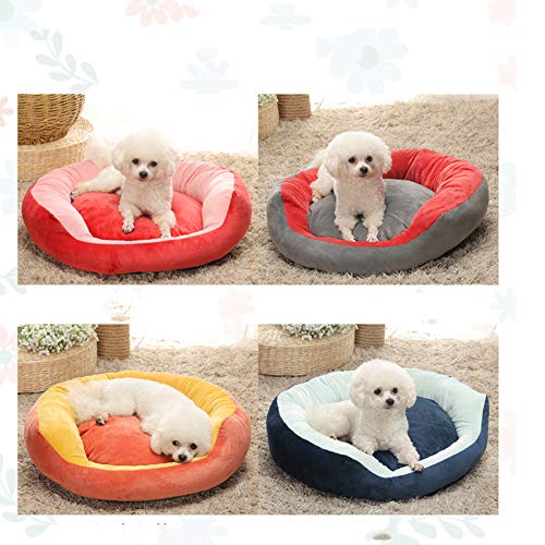 Cama para Mascotas, Cama para Perros Extraíble Y Lavable Terciopelo De Cristal Núcleo Cálido Forma Redonda Camas para Gatos para Perros Resistencia, para Perros Pequeños Y Medianos, S,Azul