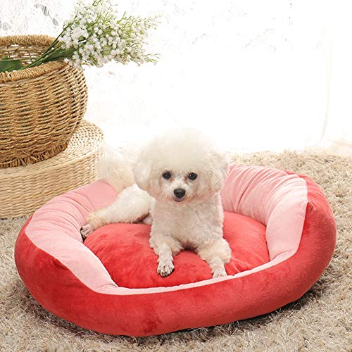 Cama para Mascotas, Cama para Perros Extraíble Y Lavable Terciopelo De Cristal Núcleo Cálido Forma Redonda Camas para Gatos para Perros Resistencia, para Perros Pequeños Y Medianos, M,Rosado