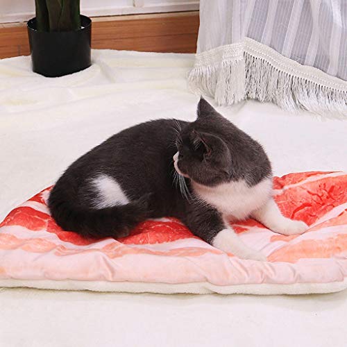 Cama para Mascotas, Manta de Perro Grande/Mediana/Pequeño, Estera Portátil para Perros Invierno Mantener Caliente Manta, Panceta de Cerdo Estampado En 3D Cojín, Alfombrilla para Gatos, 43-70cm