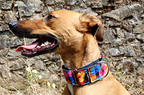 candyPet Collar Martingale Para Perros - Modelo Flores, M