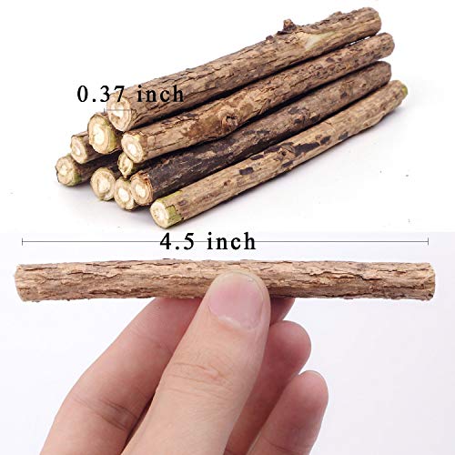 Cat Catnip Sticks 100% orgánico Natural Matatabi Dental Treats Dientes Grinding Chew Toys Enriquecimiento Olfactory para Gato, Paquete de 30 Unidades