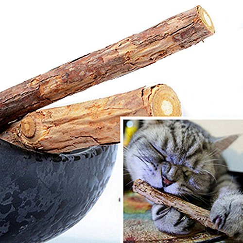 Cat Catnip Sticks 100% orgánico Natural Matatabi Dental Treats Dientes Grinding Chew Toys Enriquecimiento Olfactory para Gato, Paquete de 30 Unidades