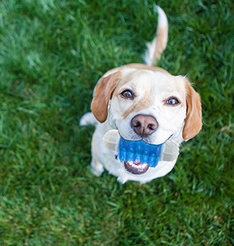 CEESC hueso de perro para cachorro, sonido al masticar, limpieza de dientes, pero muy duradero