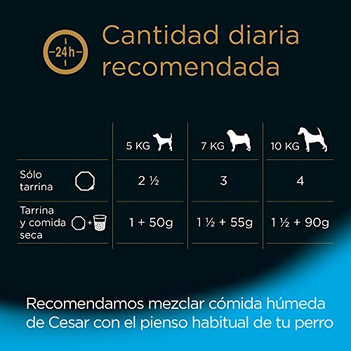 Cesar Multipack de 4 tarrinas de 150g para perro senior (Pack de 6)