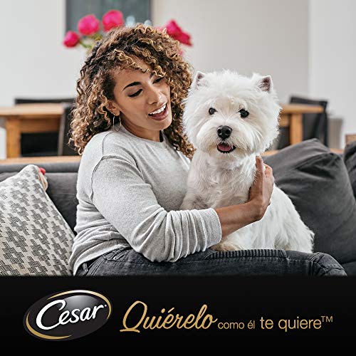 Cesar Multipack de 4 tarrinas de 150g para perro senior (Pack de 6)