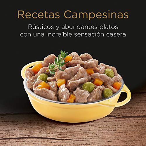 Cesar Multipack de 4 tarrinas Recetas campesinas para perro de 150g selección en salsa (Pack de 6)